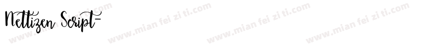 Nettizen Script字体转换